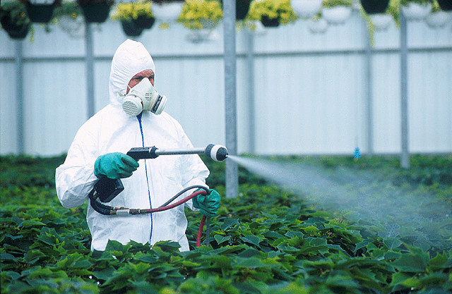 Влияние пестицидов на здоровье человека 