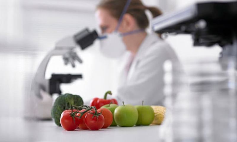 Россия полностью запрещает ГМО в пищевой промышленности