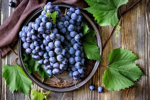 Как хранить виноград - узнайте секреты!