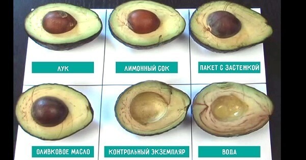 6 способов хранения авокадо. Интересный эксперимент, результаты которого поражают.