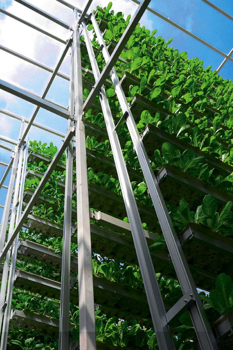 Sky Greens— первая в мире вертикальная ферма с гидравлическим приводом