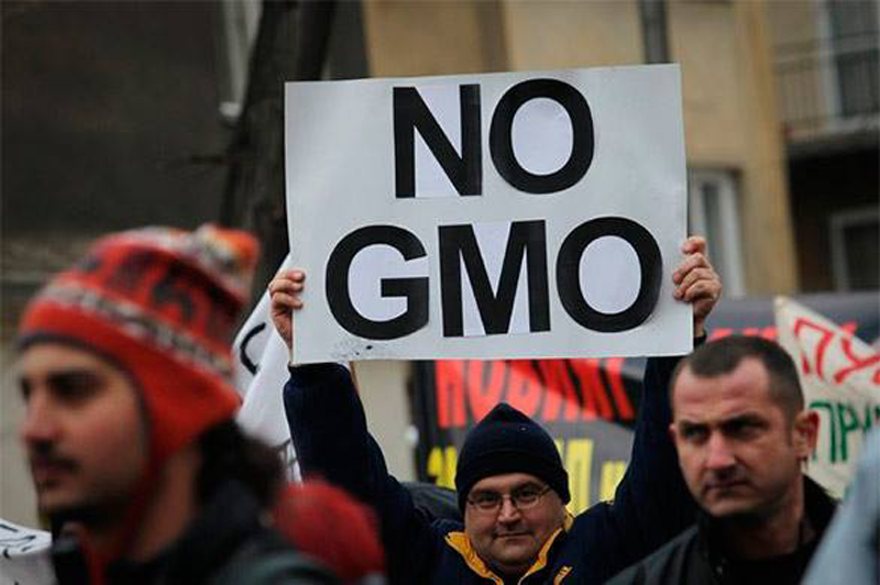 15 стран ЕС выступили против ГМО продуктов