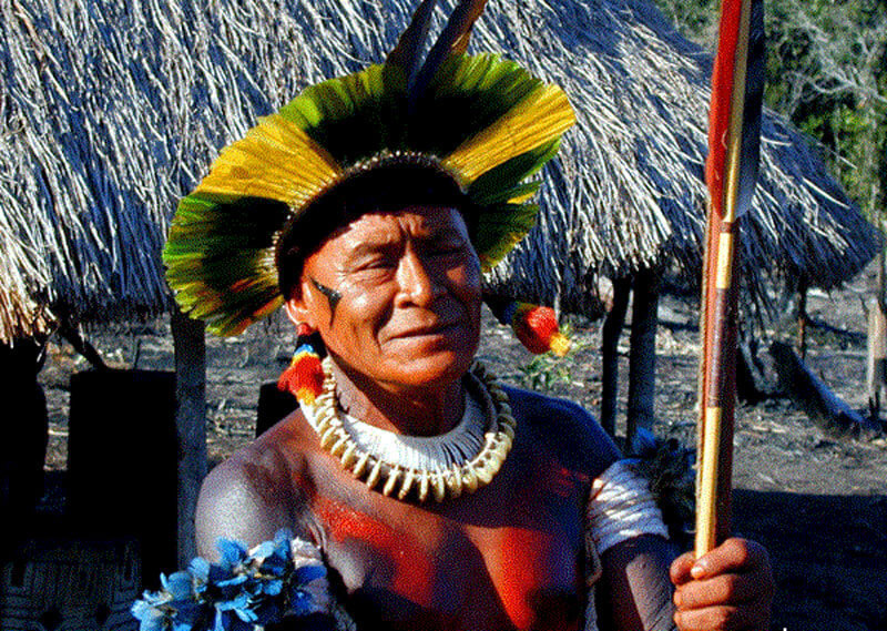 Аутоиммунные заболевания, рак и шаманы Амазонки