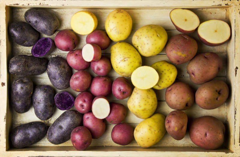 Как обновить сорт картофеля: 5 способов  