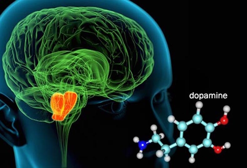Дофаминовый наркотик: вся правда о позитивном мышлении!