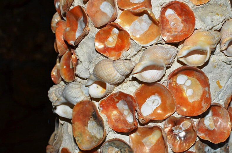 Грот ракушек (Shell Grotto) – загадочная достопримечательность Великобритании