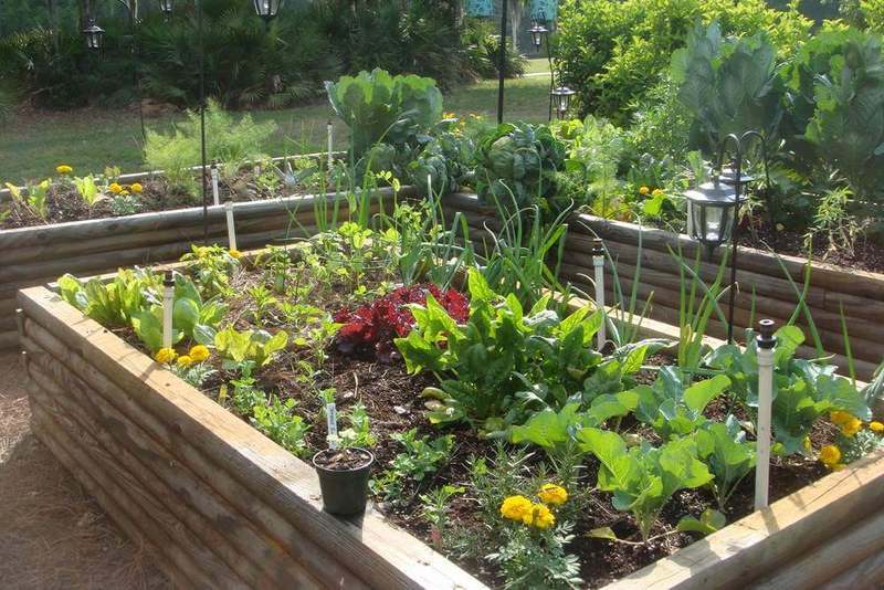 Ваш сад и огород без химии, использование природных средств, культур спутников, видео