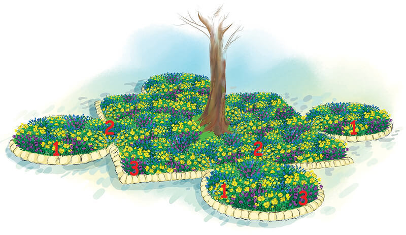 Как обустроить цветник под деревом: оформление приствольных кругов