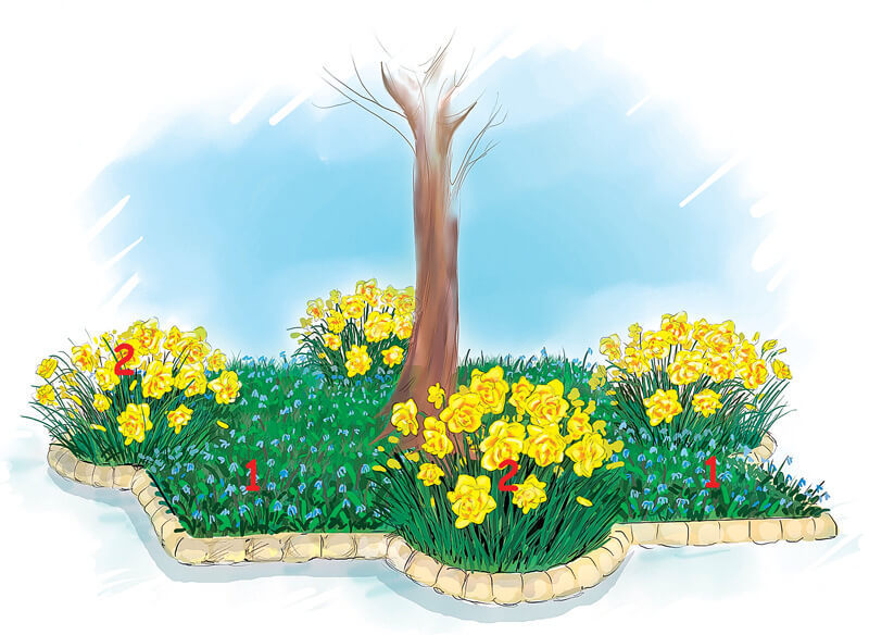 Как обустроить цветник под деревом: оформление приствольных кругов