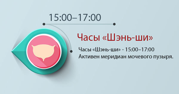 Сохраняем баланс — Часы активной работы меридианов и органов человека