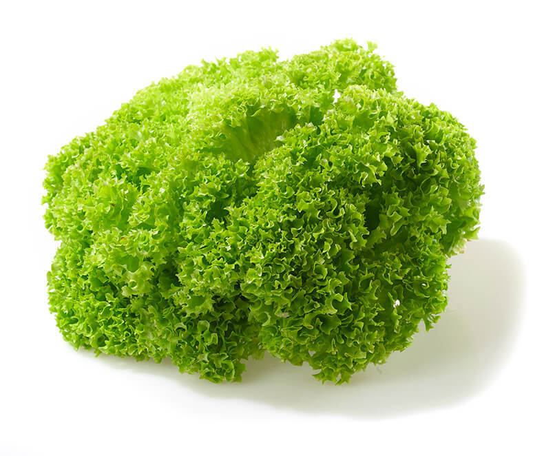 Все, что нужно знать о салате и листовой зелени