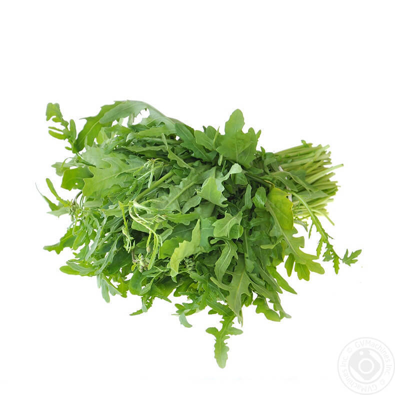 Все, что нужно знать о салате и листовой зелени