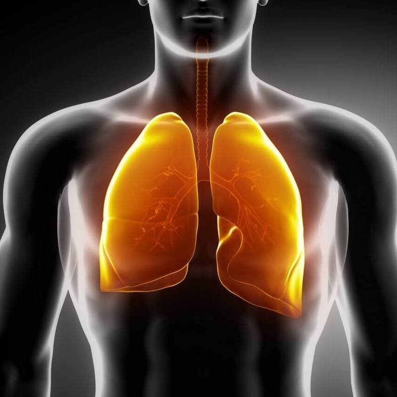 8 продуктов, которые вызывают болезни дыхательных путей