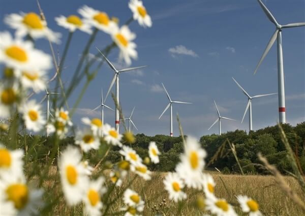 9 причин стать фанатом ветроэнергетики