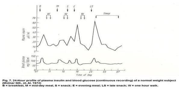 Инсулин: гормон здоровья и долголетия