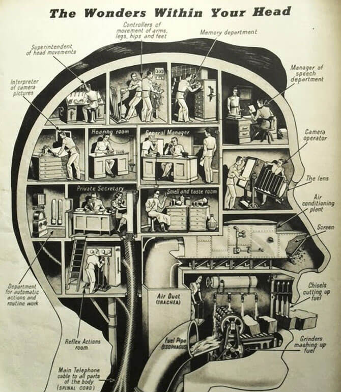 4 книги о том, как работает мозг