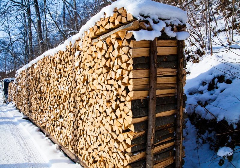 Как правильно хранить дрова на даче 