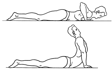 Упражнения развивающие тонкие мышечные волокна позвоночного столба