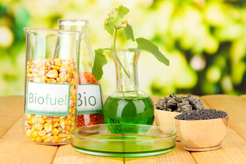 Как получить биотопливо своими руками