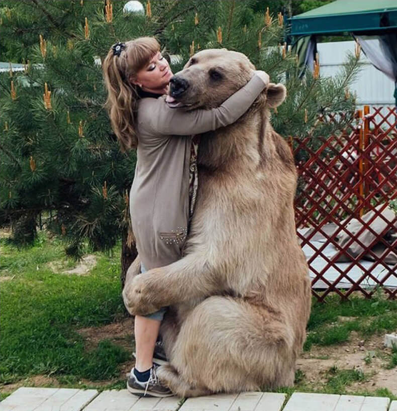 Общительный медведь Степан уже 18 лет живет в семье москвичей