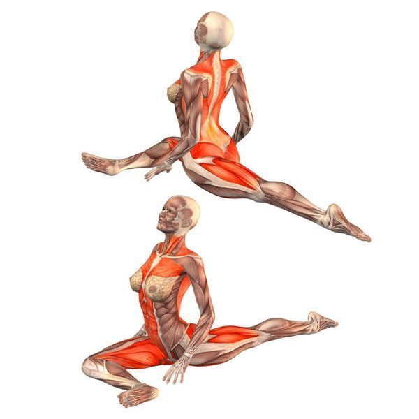 Лучшие упражнения для поясничной мышцы (мышцы Души)