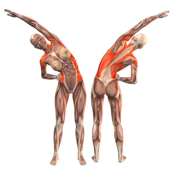 Лучшие упражнения для поясничной мышцы (мышцы Души)