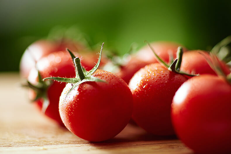 Как вырастить томаты без рассады