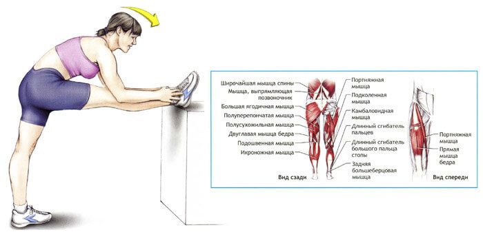 Изображение - Растяжка суставов и мышц content_402__econet_ru