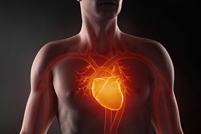 Если хотите иметь здоровое сердце, отрегулируйте работу органов пищеварения  
