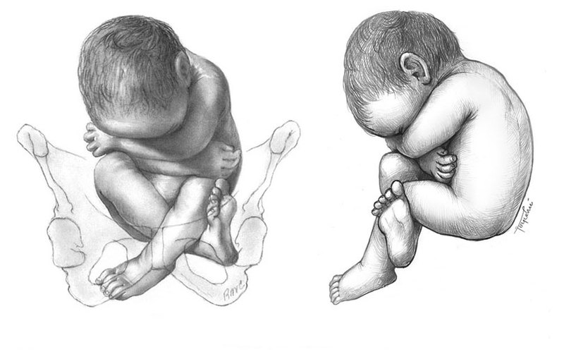 Воспитание начинается еще до рождения: хроники жизни до родов