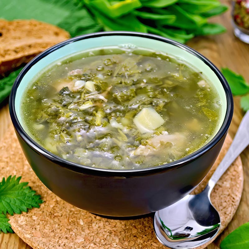 Суп из борщевика рецепт с фото пошагово