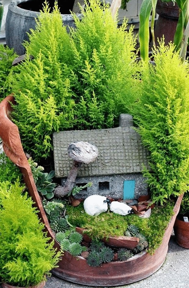 Миниатюрный сад для городских жителей