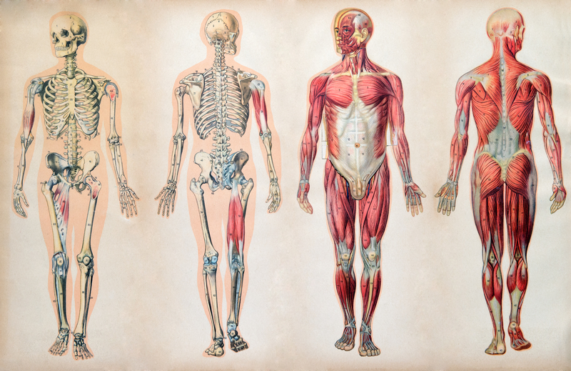 Психосоматика проблем с костями: осознайте, что вы гораздо сильнее, чем кажется!