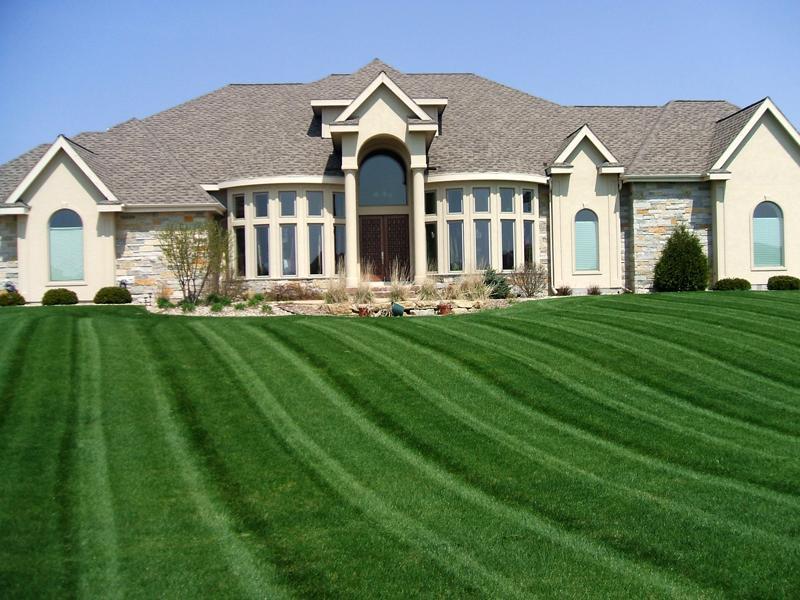Фото газон возле дома
