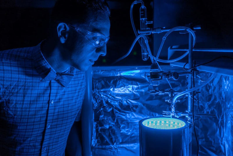 Ученые научились очищать воздух с помощью искусственного фотосинтеза