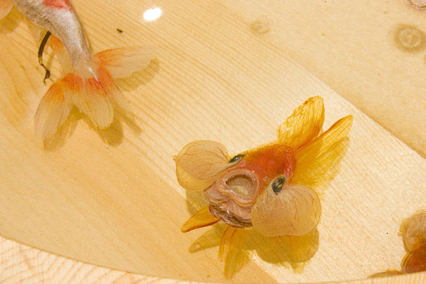 Невероятно реалистичные трехмерные рыбки от Riusuke Fukahori 
