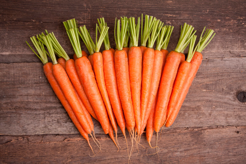 Целебные свойства моркови при гипертонии, заболевании почек и не только!