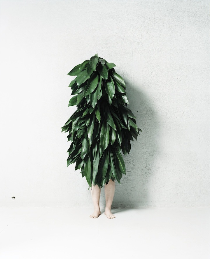 Человек Растение Фото
