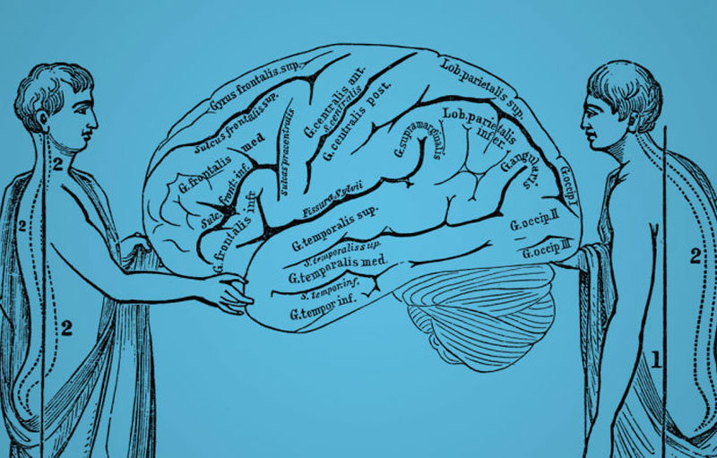 Как наше тело влияет на мозг