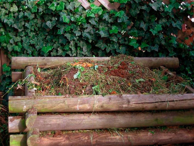 Древесные опилки как удобрение: как правильно мульчировать почву