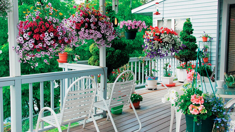 Сад в доме: Озеленение балкона, лоджии, террасы