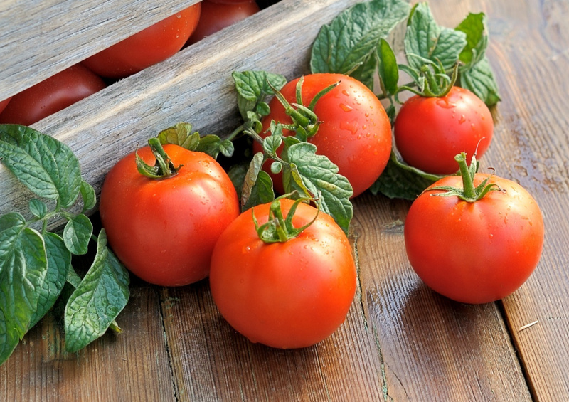 Как прищипывать помидоры пошаговое фото