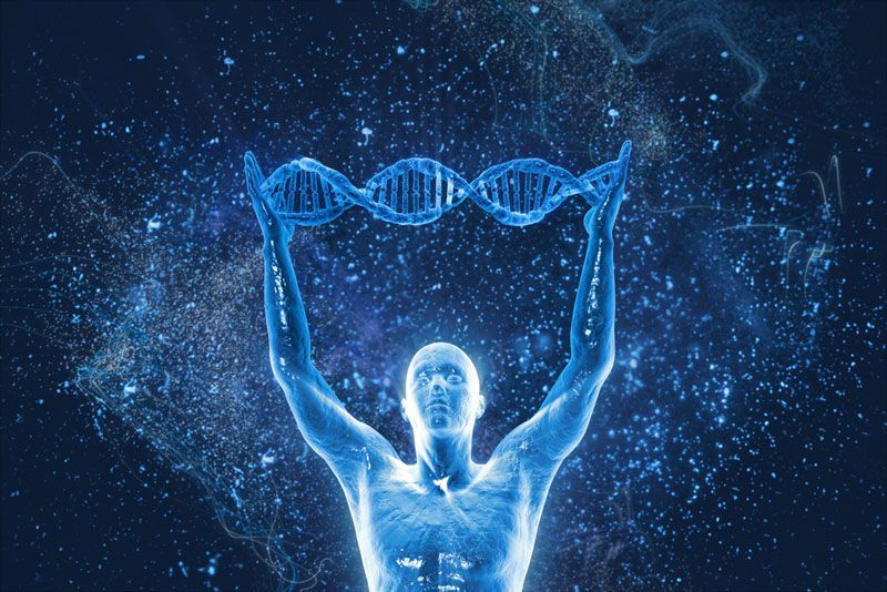 Интересные факты из мира генетики. Читать мужчинам и женщинам!