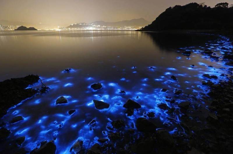 Мерцающие озера: Феномен «светящихся вод» 