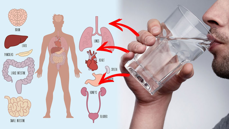 Почему лучше пить воду теплой: 4 веских довода