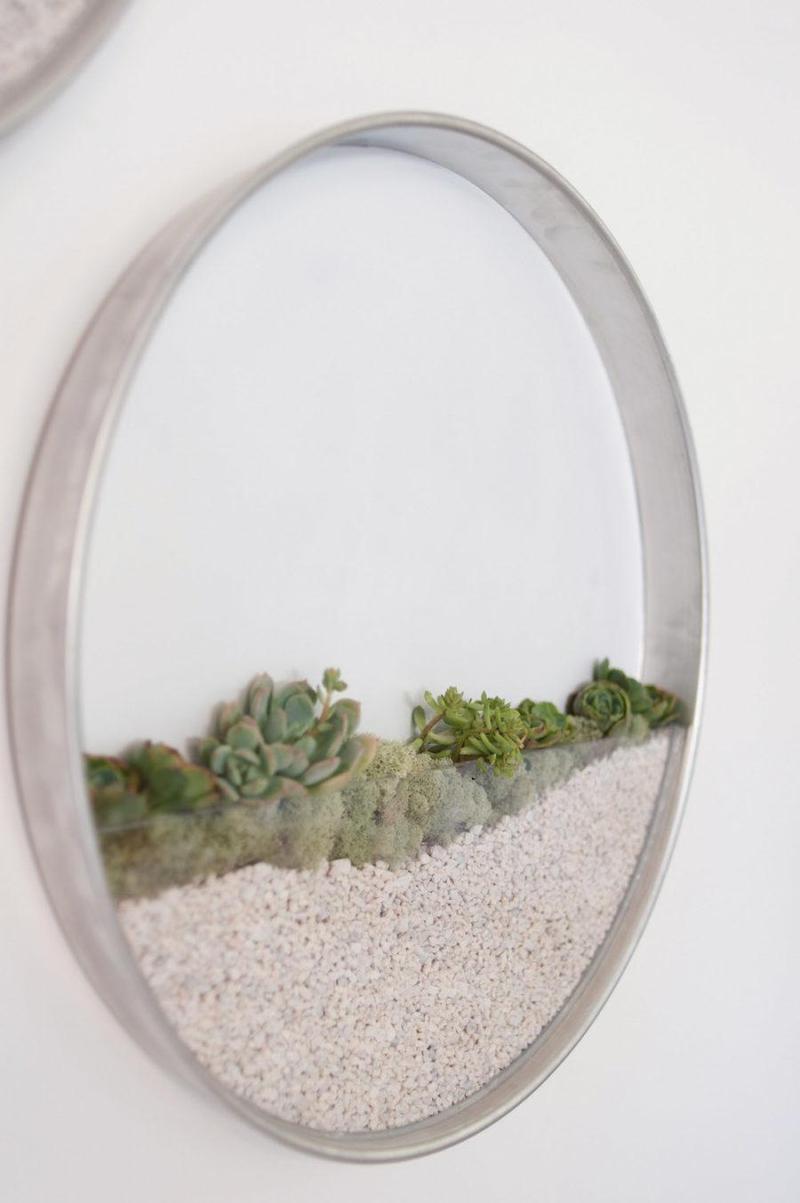 Идеи для декора: новый взгляд на комнатные растения 
