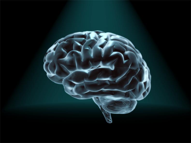 Интересное о мозге человека. Релаксация мозга.