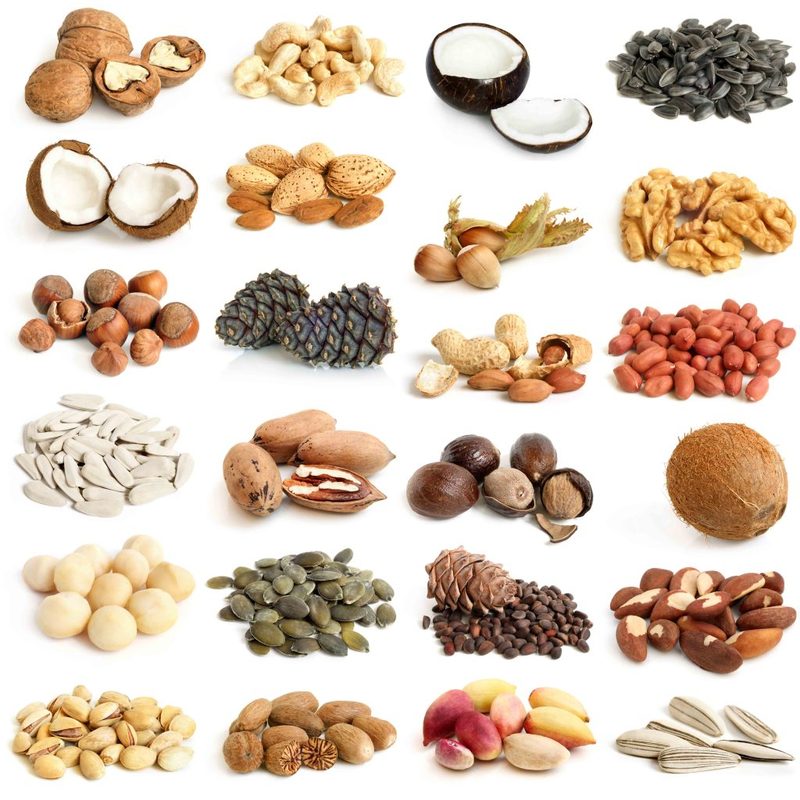 Изображение - Бизнес на кедровых орехах content_nuts-and-seeds-for-added-nutrition-1024x1024