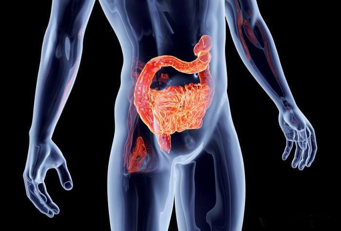 Исцелите свой кишечник: 2 переменные, которые определяют здоровье кишечника