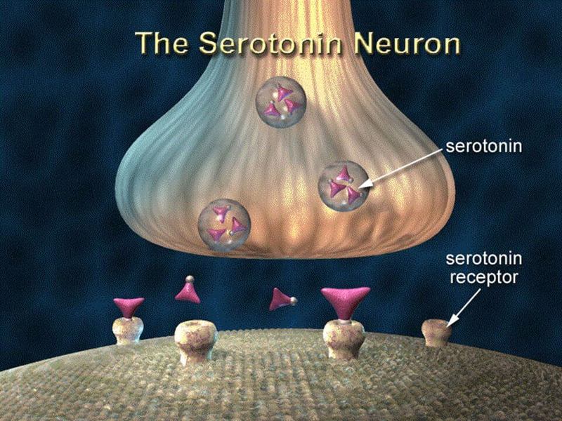 Низкий уровень серотонина: 9 удивительных последствий